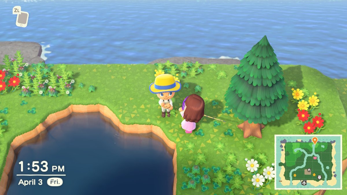 DawsonlCrooks's tweet photo. You are in her dms. I am on her Animal Crossing island. We are not the same. https://t.co/pWR9XNWSf9