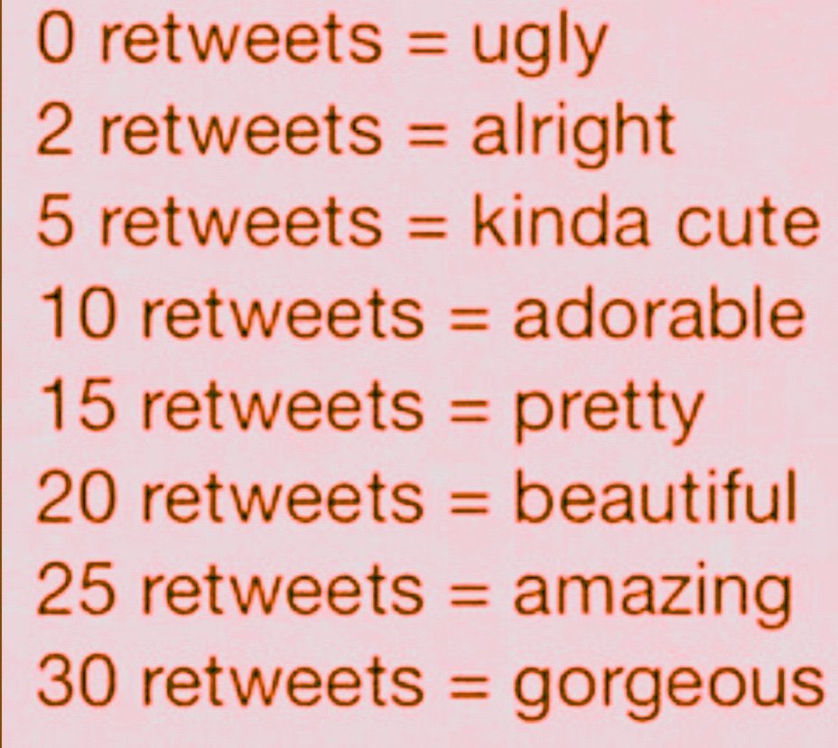 CampBuddyLover tweet picture