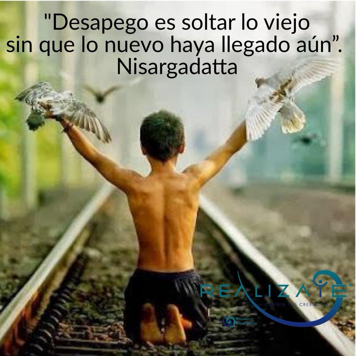 Realizate3's tweet photo. #Realizate #SesionesEnLinea #ResonanceRepatterning Whatsapp: 5539132993 https://t.co/P67zGuaKNQ