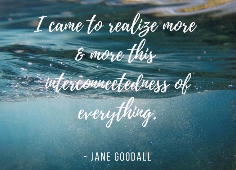 Ocean Conservancy tweet media