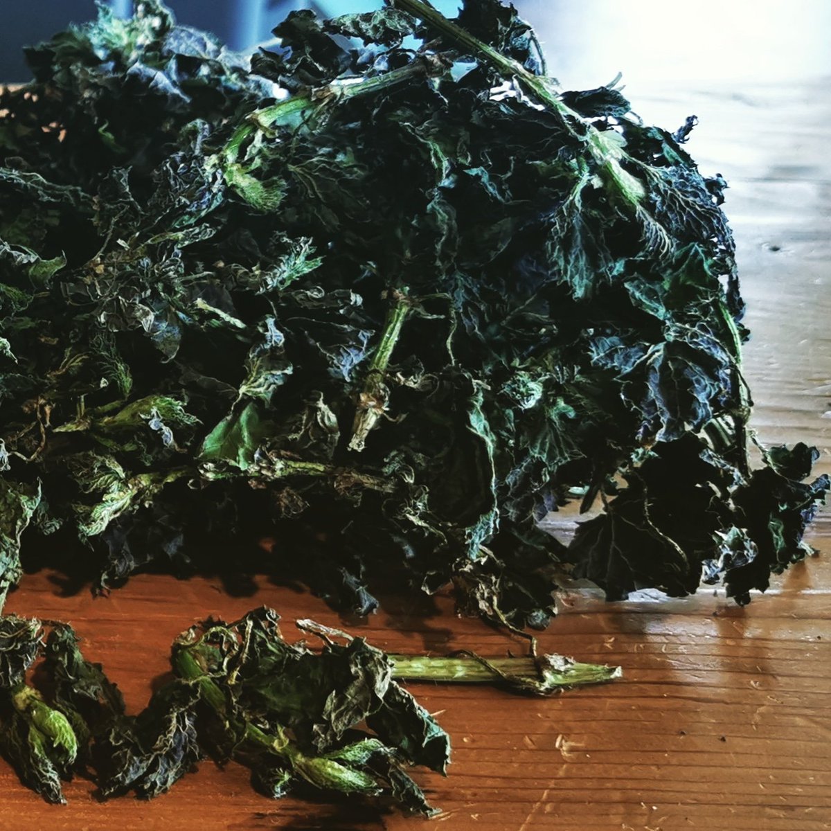 NightlyNettle's tweet photo. Beautiful, freshly foraged, crisp dry Nettle! I wonder how many cups of tea?
#nightlynettle
#freshlyforaged
#healthytea
#allergyrelief
#pnw
#wildharvested
#westerncanada
#westcoast
#detox https://t.co/atMyRRVz3f
