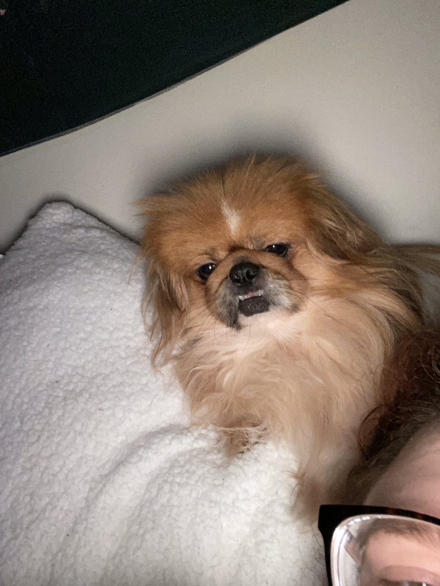 NikkiSneed3's tweet photo. When you wake up and can’t even remember what day of quarantine it is #COVID19Pandemic #SafeAtHome https://t.co/vgsKZbcB5r
