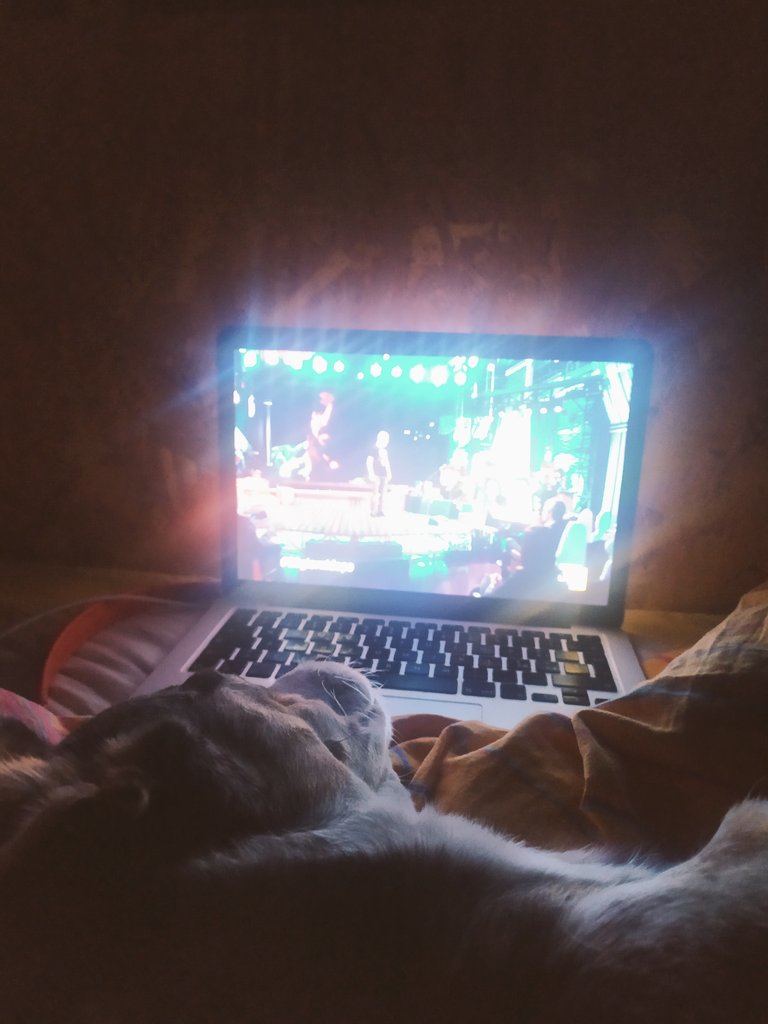 Filippo Gaudenzi tweet media