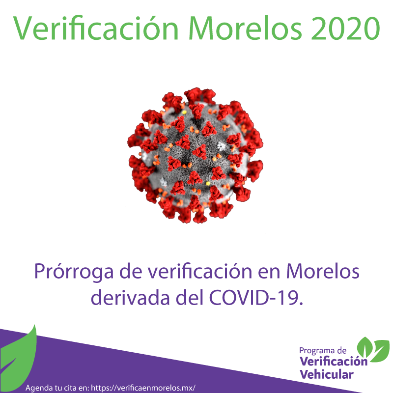 VerifEnMorelos's tweet photo. https://t.co/OVfsaJpuK3

#verificaciónMorelos2020 #VerificacionMorelos #multaverificaciónMorelos #verificaciónvehicularMorelos #calendarioverificaciónMorelos #multaporverificaciónextemporáneaMorelos #verificaciónMorelos #pagómultaverificaciónMorelos #multasverificaciónMorelos https://t.co/cGjl8MEuYE