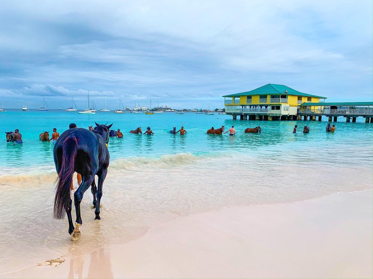 That feeling of anticipation when you’re on your way back to friends, family and good times. #SeeYouSoon #SeaHorses #CarlisleBay #SugarbayBarbados