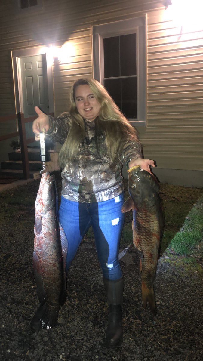 ReapersOutdrAdv's tweet photo. Some of the fish we shot this past weekend that were in our YouTube video. If you haven’t seen it the link is in our bio #bowfishing #amsbowfishing #snakehead #carp #punchinholes #getreaped #reapersoutdooradventures https://t.co/85VluLtU8p