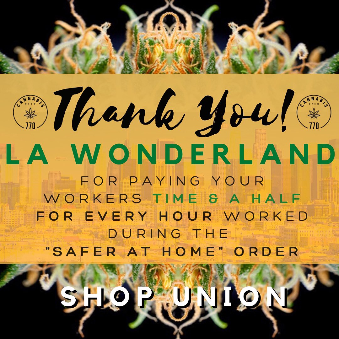 LA Wonderland will pay their budtenders, cashiers, greeting people, and store managers time and a half for every hour worked during the #saferathome order. Thank you LA Wonderland for putting workers first!! 

#1u #UnionStrong #ShopUnion #Essential #CannabisCommunity #UFCW770