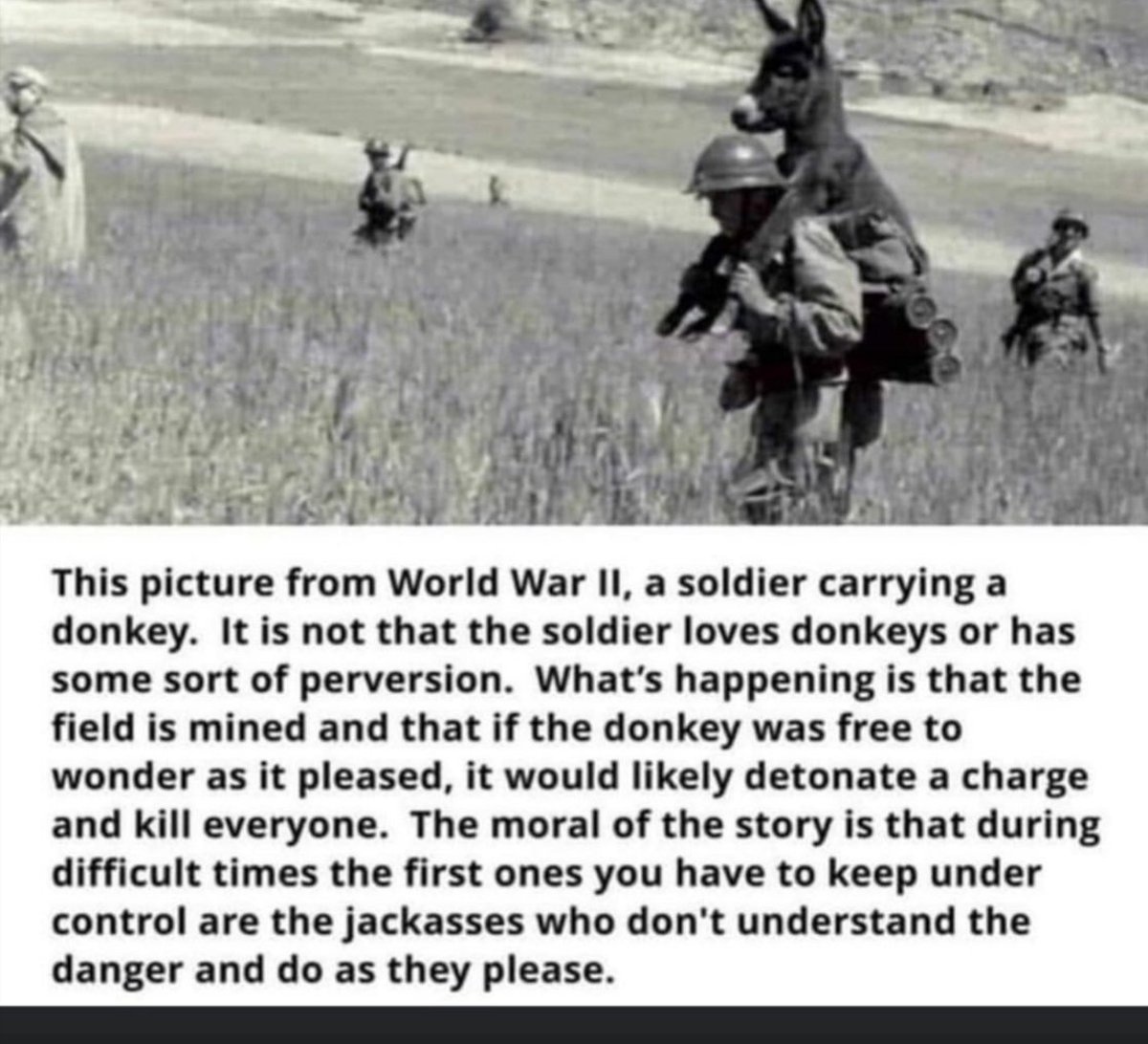 Stay the eff home, ya donkeys.