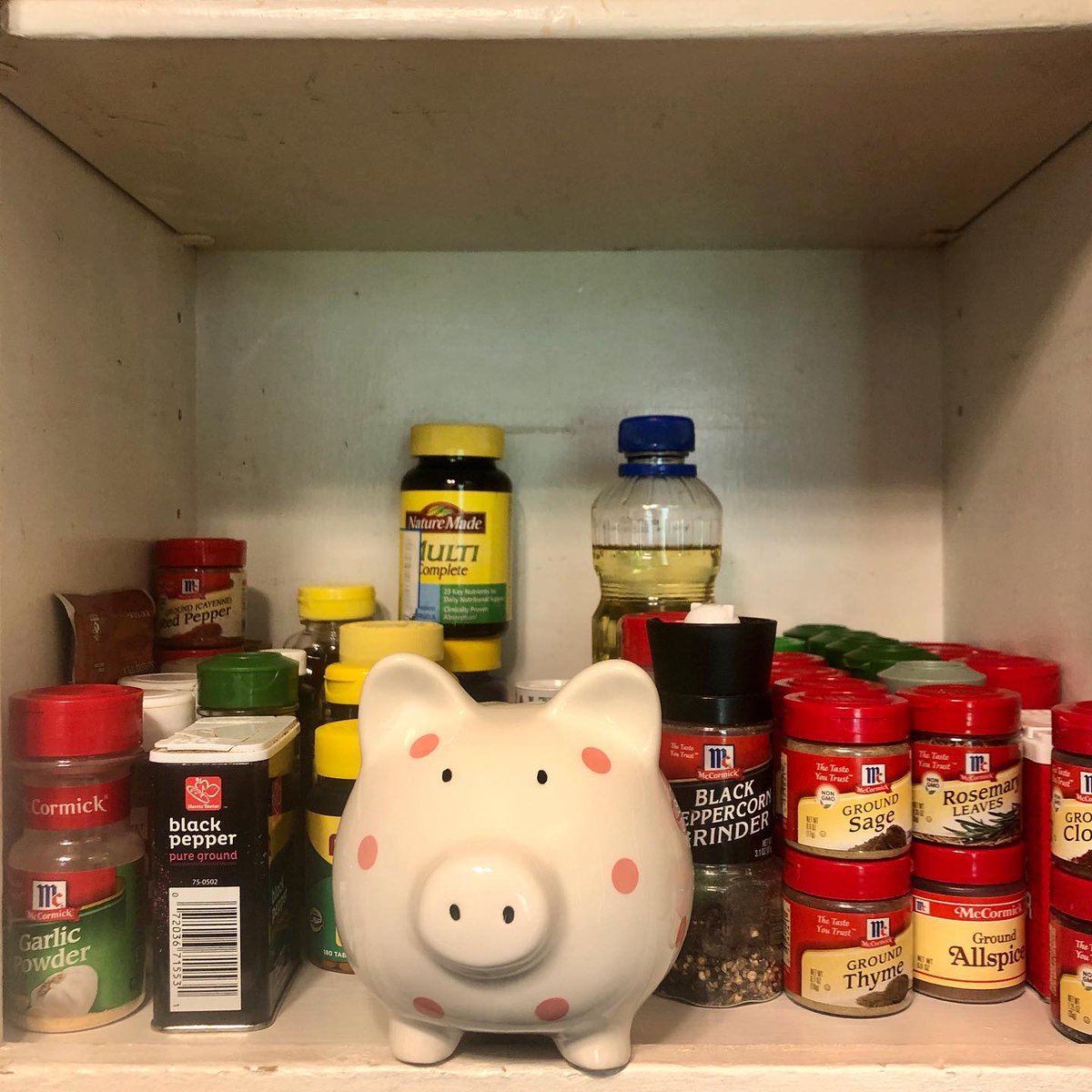 YWCAcharlotte's tweet photo. Phil really spiced things up today! He decided to organize the spice cabinet in his kitchen and make sure that all his cooking ingredients haven’t expired! Reviewing what he has on hand in the pantry will help him brainstorm new dishes to make. #PhilAtHome #QuaranClean https://t.co/YonnYAbZbg