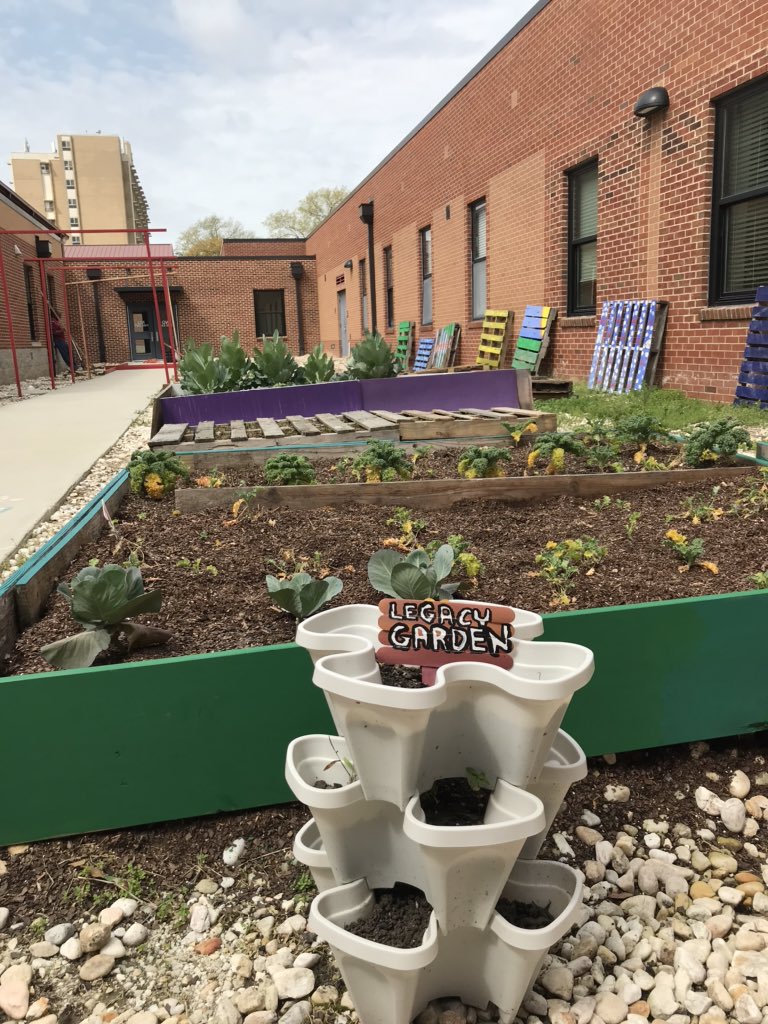 DrMAJM's tweet photo. The Legacy Garden...until the Fall. #DrGarden #SteamTeams #INSPIREaSTUDENT #distancelearning @GardenCityJazz @isteamprof https://t.co/zRG1a4JtJ2