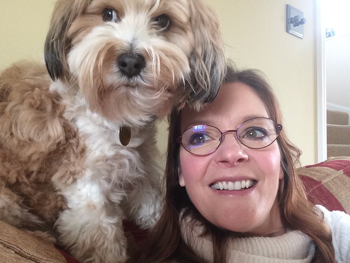 Fernieschoice's tweet photo. Mum, I know we are on lockdown, but ummm, could you get me another treat whilst I just look out the window! I haven’t barked in ages, which is odd!! Stay safe. Xx #dogsoftwitter #dogsarefamily #dogslife https://t.co/g0BqtAwQas