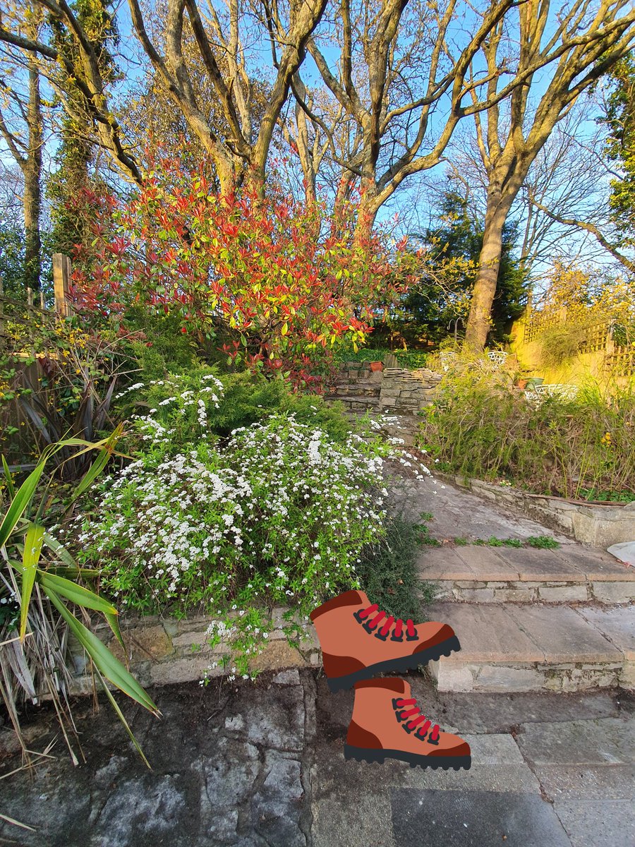 HeadRightOut's tweet photo. #virtualchallenge Inspired by @rorysouthworth's #virtualEBC. As I'm not on #SouthernUplandWay 4/4 ๐ญ to stay fit & focused am attempting home ascent in metres. Walk/run, 14 days, dress as u wish, avoid microspikes, esp.on carpet *Rucksacks optional...
#virtualsuw @ciceronepress https://t.co/MlX3s6e3fZ