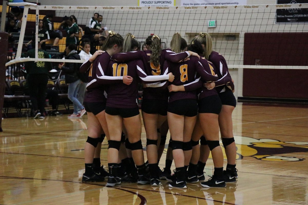 sam fiedler tweet media