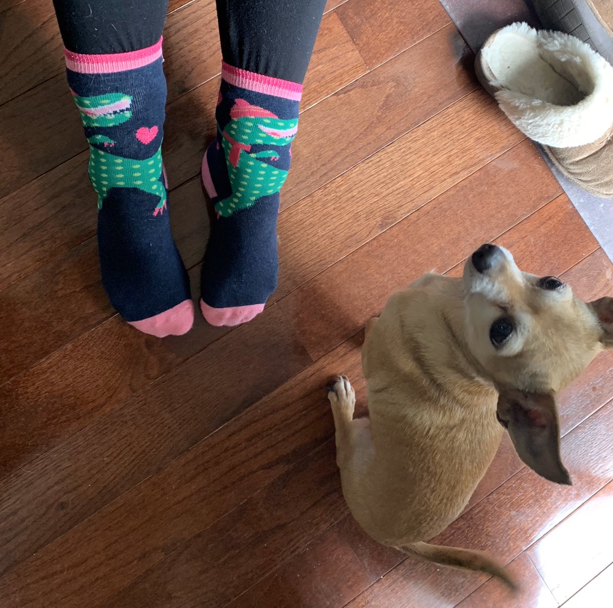 madameoreilly's tweet photo. @Mr_Graham61 @hilarybraid @JaneSpies61 @NNaughton61 Funky sock friday https://t.co/xPeg0NQePU
