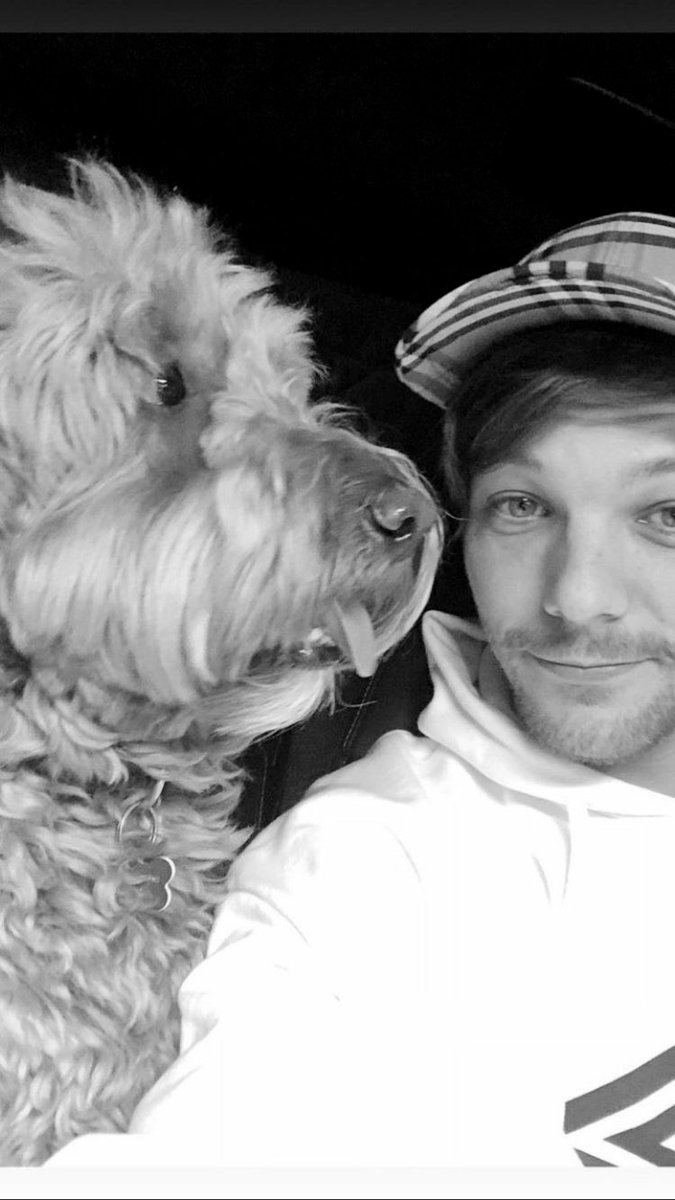 Louis Tomlinson in Burberry; a thread.
