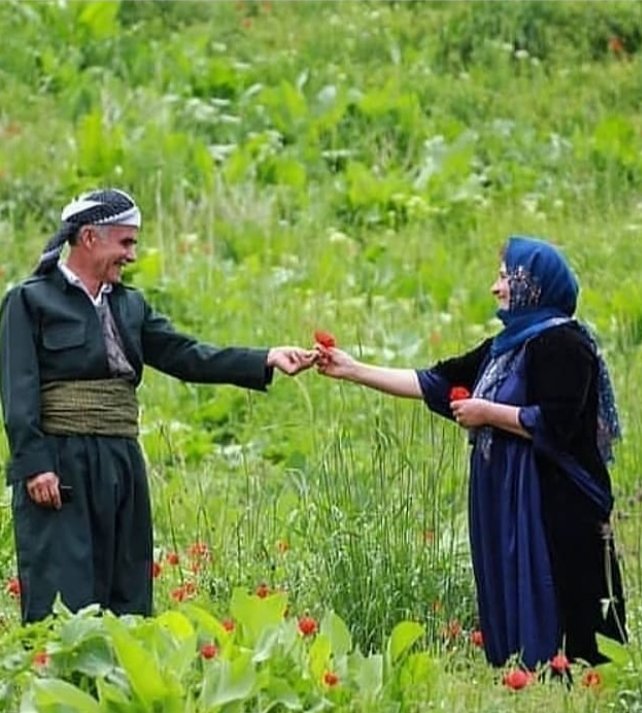 Mahir__0030's tweet photo. Dîbêjin mîrov pîr dıbê lê dıl pîr Na bê https://t.co/DkxzHLZMZp