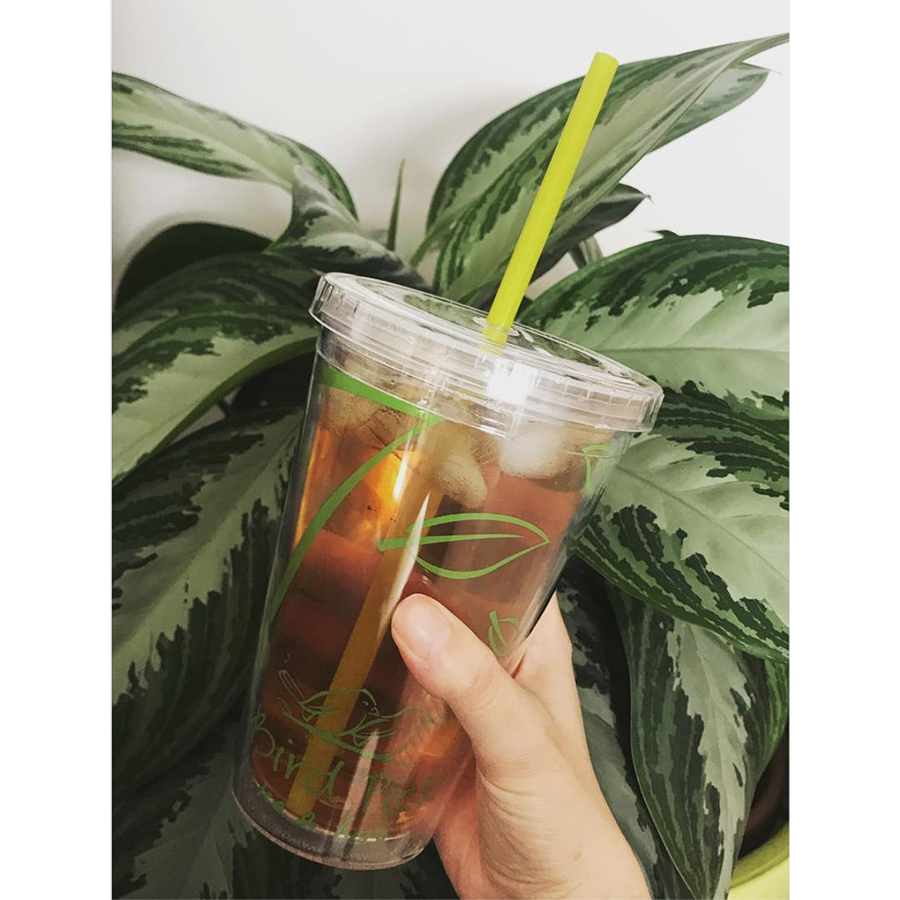 Bird Pick Tea & Herb tweet media