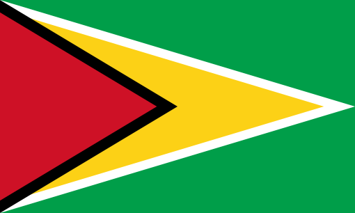 Guyana. 9/10. Is it a flag or is it art? Created in 1966 following independence from the UK. The red stands for zeal, the gold for mineral wealth, the green for agriculture and forests, the black for endurance and the white for rivers and water.