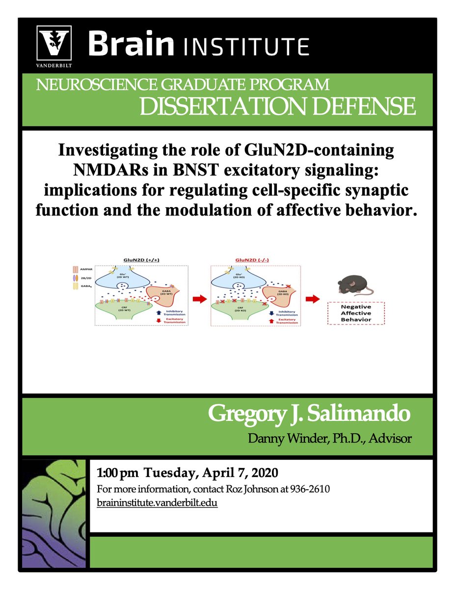 VUBasicSciences's tweet photo. Amid the chaos, @gsalimando will be defending his dissertation! His research efforts focused on cell-specific synaptic function and the modulation of #AffectiveBehavior.
DM us for details on the Zoom meeting, set for Tuesday (4/7) at 1pm CST!
#VirtualDefense #BrainInstitute https://t.co/rF0JJEbkHt
