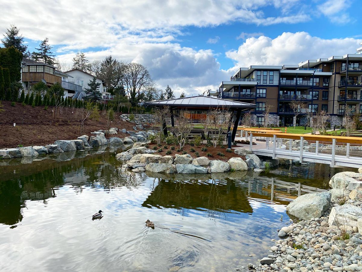 MGericConst's tweet photo. A couple of ducks enjoying the pond at Travino! https://t.co/UjfRR2g7CW