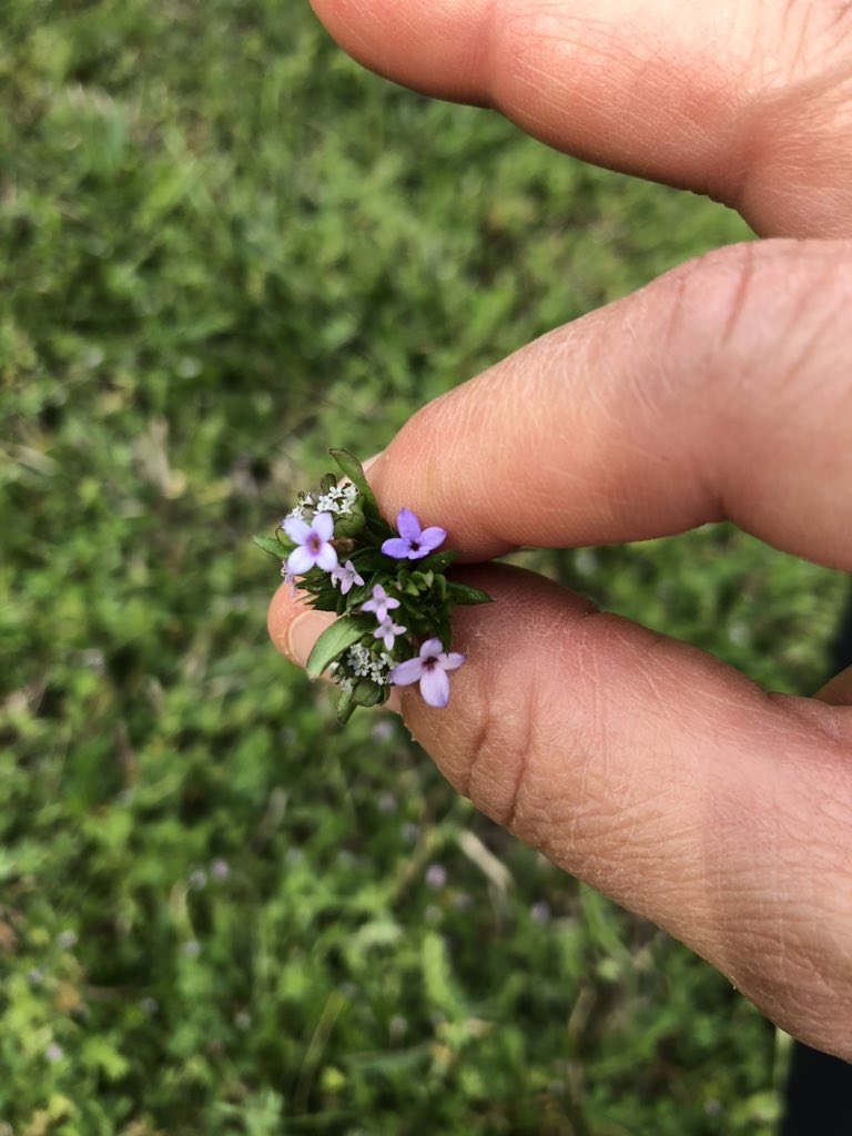 A bouquet from my love 💚