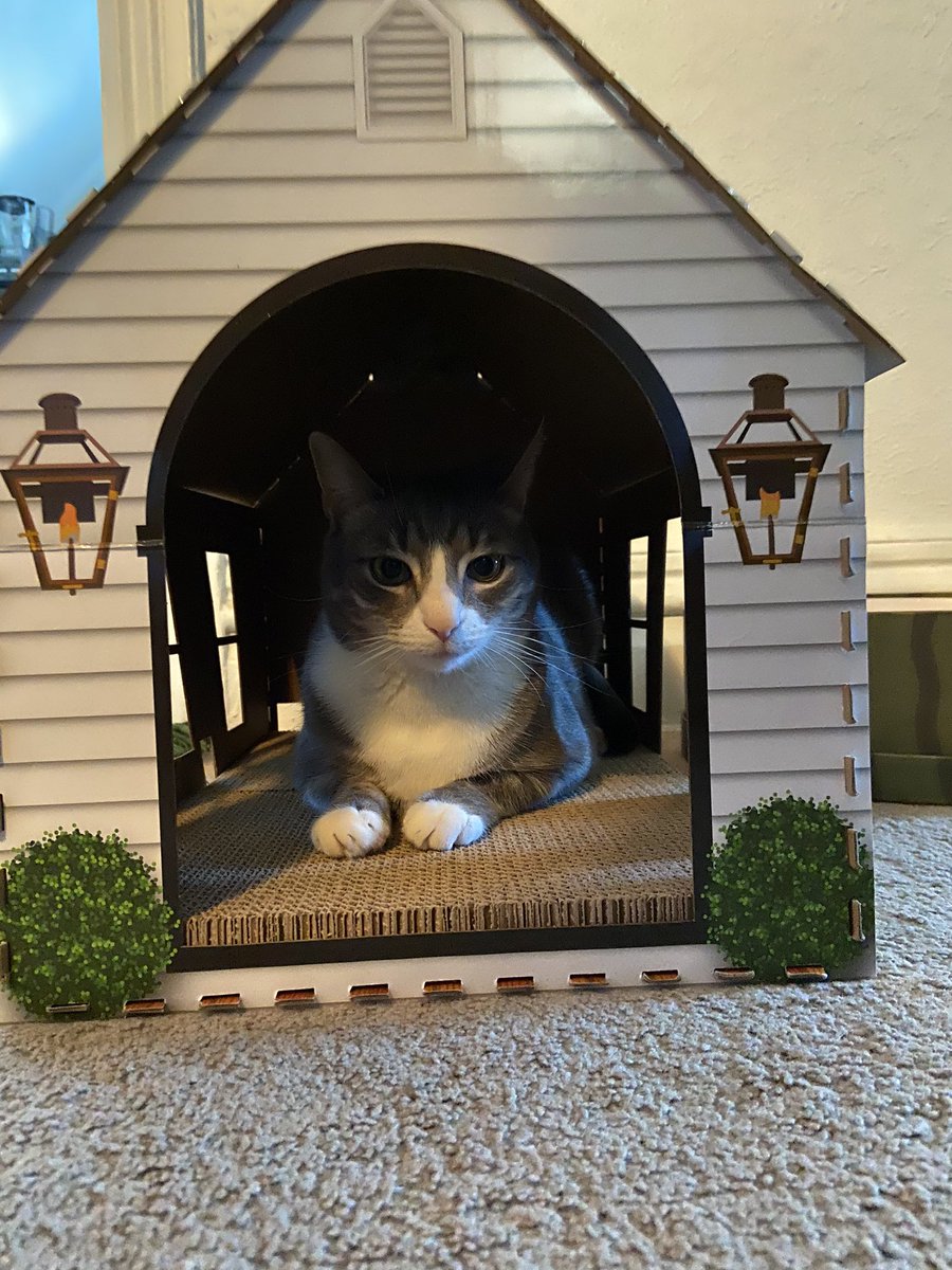 dwyerol's tweet photo. Waiving my tenant’s rent for April until she gets back on her feet https://t.co/6ba4kBEgOX