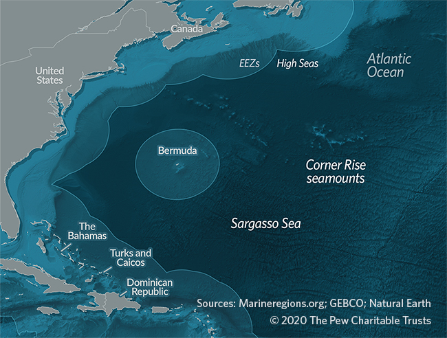  Sargasso Sea and Corner Rise Seamounts; defined by its characteristic seaweeds, the Sargasso Sea has ecological importance rivaled by few places in the world. Habitat for many critically important and endemic species, such as European and American eels.