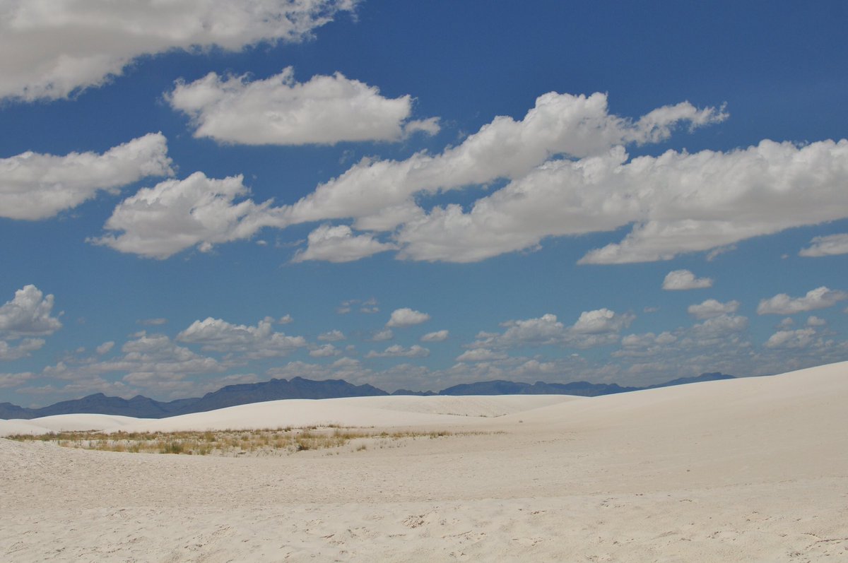 halfexploring's tweet image. White Sands, NM 📡