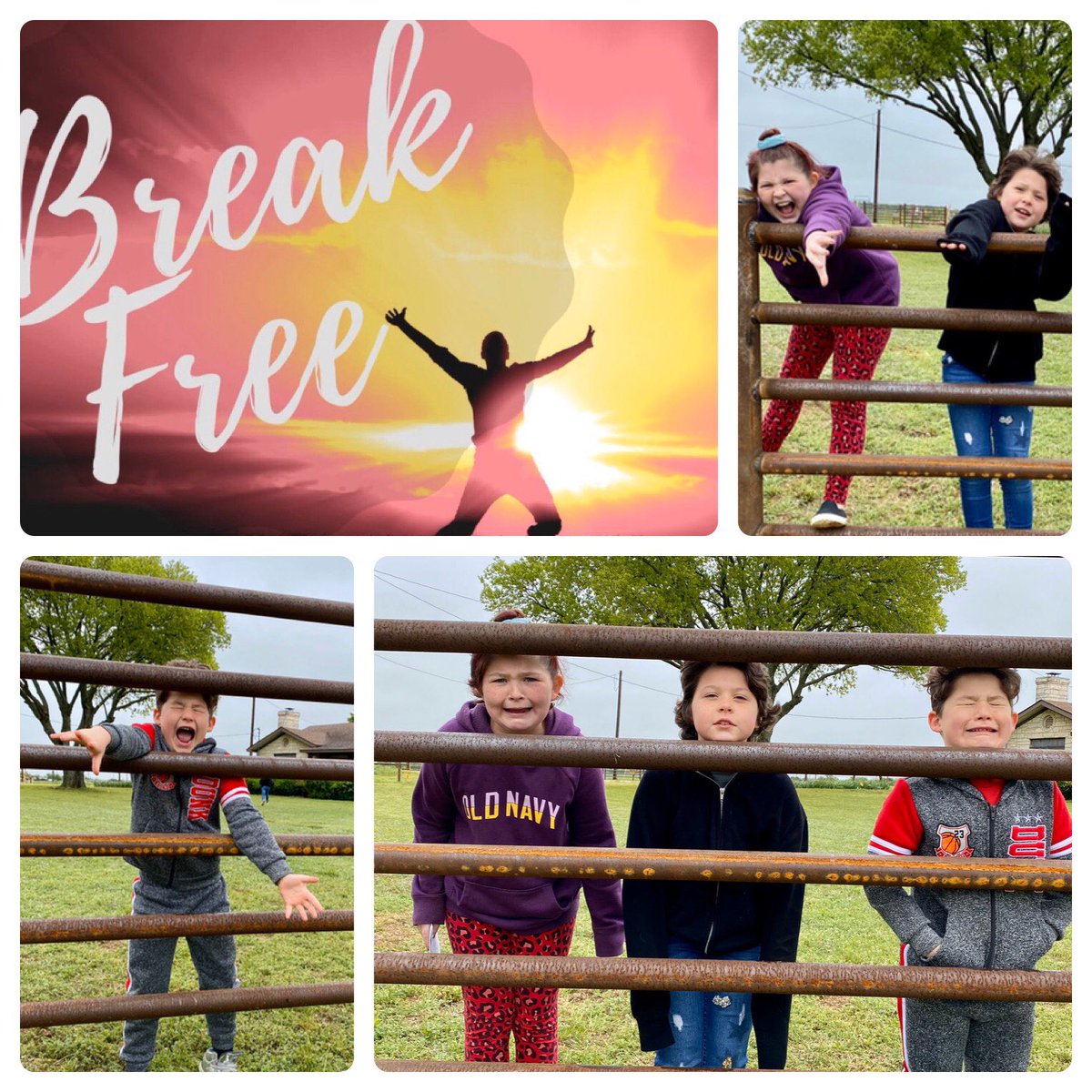 AwesomeInHim's tweet photo. @Sewell_Seahawks @SewellPTA #schoolspirit #FindTheJoy #SewellInTheHouse #GISDAlwaysConnected https://t.co/qhWmWhzq2H