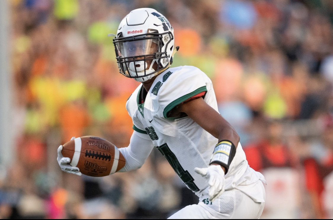 Dalys Beanum tweet media