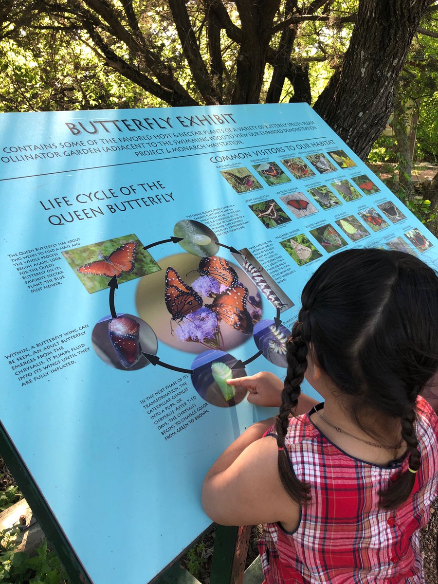 FPSBillieKids's tweet image. Look at our Super Hero friends working hard and having fun while they do it!  #FPSPride #FPSSpiritWeek #SuperHeroDay #SuperStudents #TeamPriess