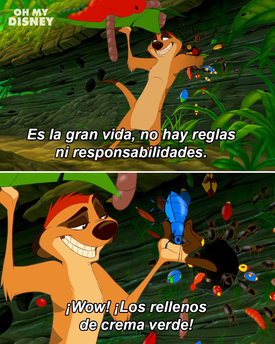 memes-del-pumba-si-meme-by-ethan-pro-memedroid