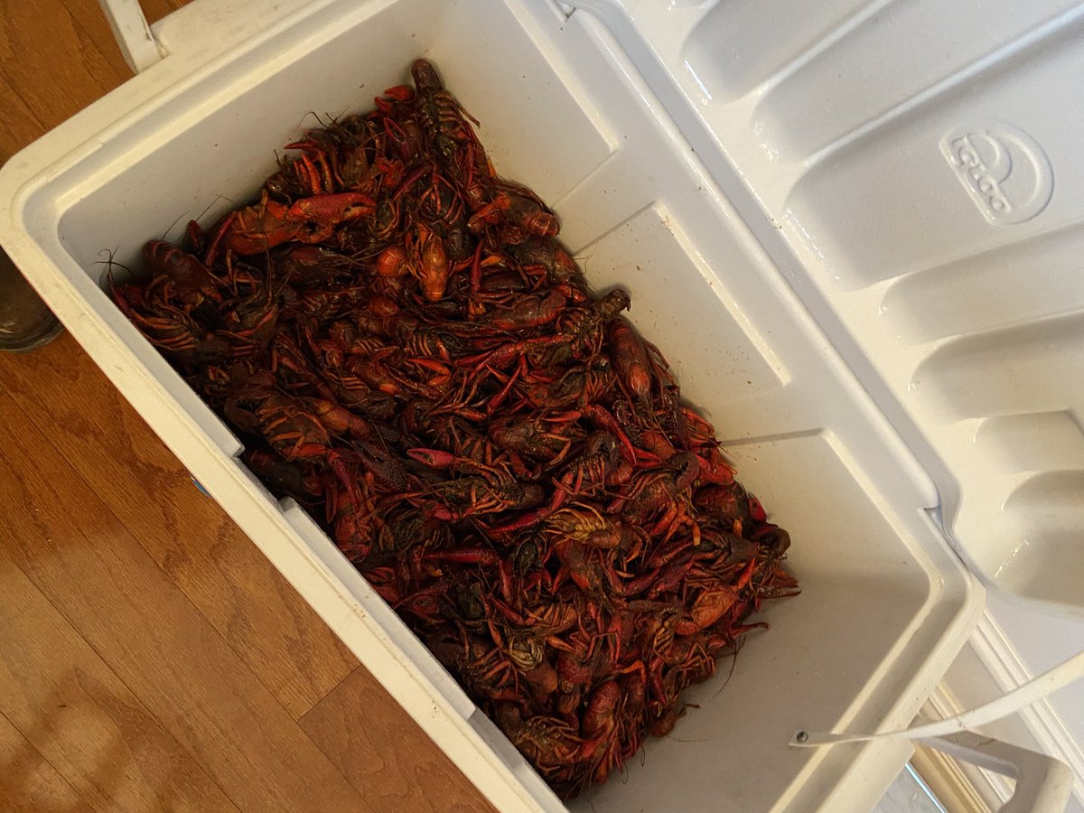 wakifer's tweet image. Thank you @caferue for a great dinner. #20lbs #fixins #popcornshrimp #crabcakes