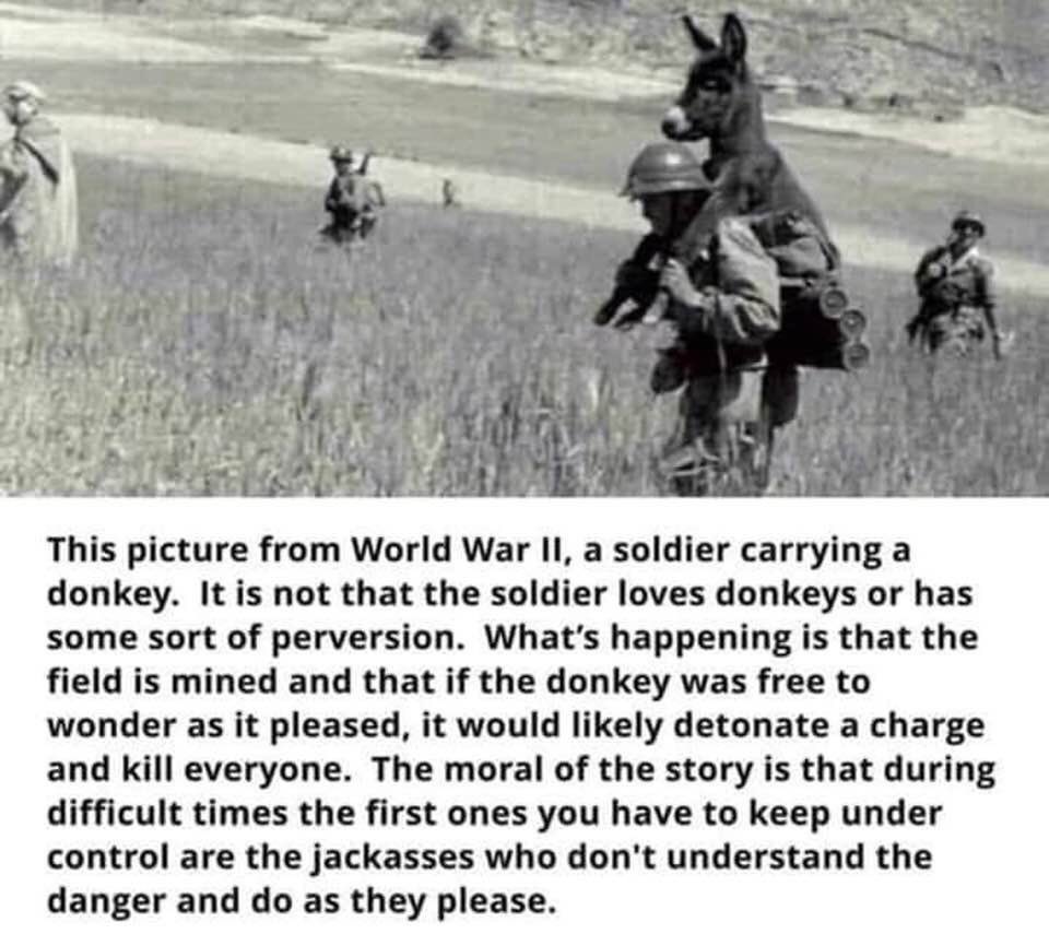 How about this? Pretty accurate!
