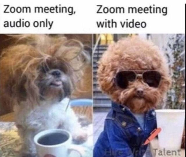 StellaJonesPRA's tweet photo. True story😎
#fridayfunnies #HappyFriday #chickswithmds #stellajonesparanormalromance #ShareSomethingGoodWithTheWorld https://t.co/8zM9ozu6Xo
