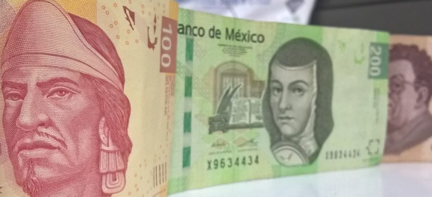 AristeguiOnline's tweet photo. Ven opacidad y dispendio en fideicomisos que desapareció AMLO
https://t.co/Inb1CWblK5 https://t.co/Ojsbuyi6PC