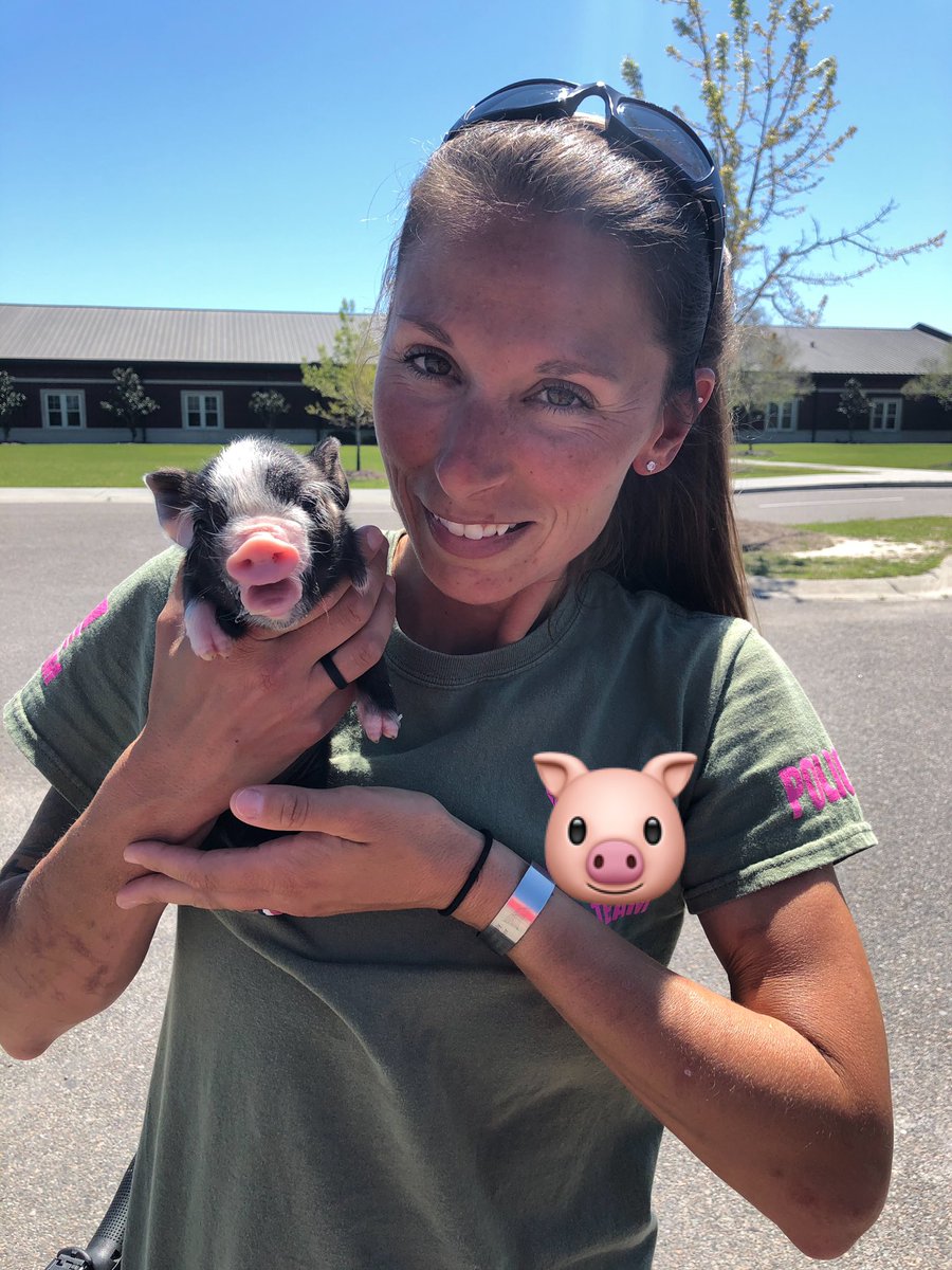 K9Apart's tweet photo. First time holding a newborn 🐷....first time bottle feeding a newborn 🐷. Pretty solid Friday! #squeal #babypig #piglet #socute #checkandcheck #kindalikeadogpic #somanyjokes https://t.co/ETsp3X59Hd