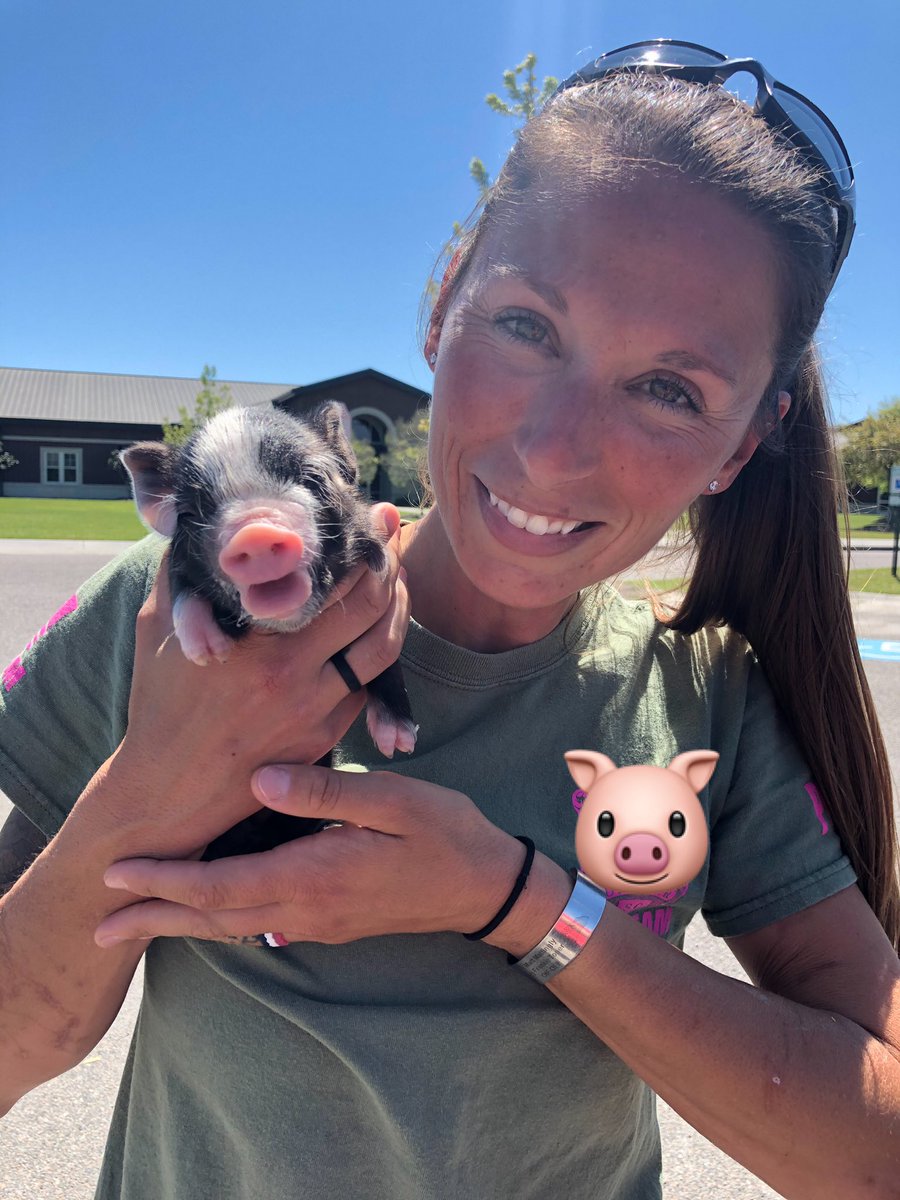 K9Apart's tweet photo. First time holding a newborn 🐷....first time bottle feeding a newborn 🐷. Pretty solid Friday! #squeal #babypig #piglet #socute #checkandcheck #kindalikeadogpic #somanyjokes https://t.co/ETsp3X59Hd