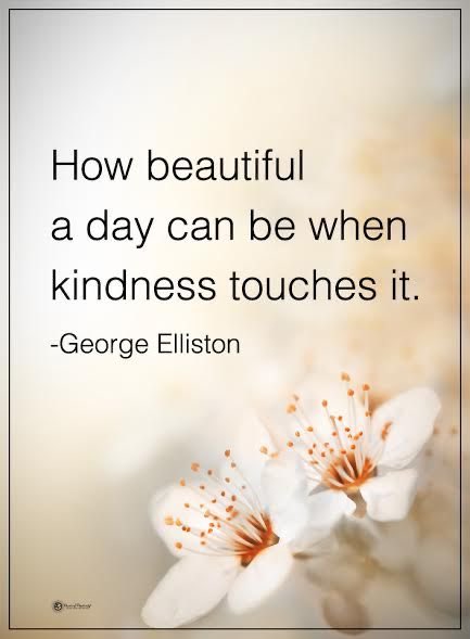 Lisa Woodbridge tweet media