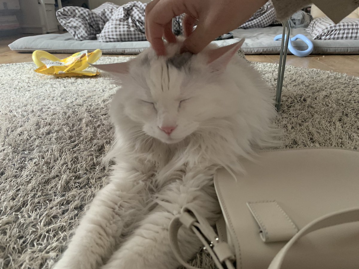 엄마 집보고올게 보름...