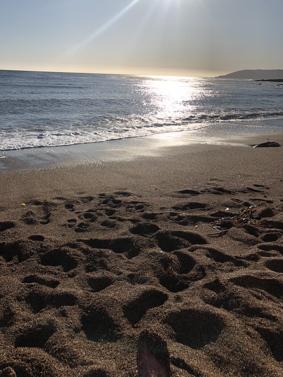 CodyvonAppenUCD's tweet photo. Best beach in the Big Sky!@BigSkyFB @calpolyfootball #Yeararound #TrainontheBeach https://t.co/PYNI5lv3fT