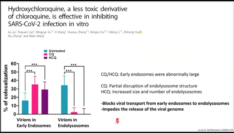 13/15 Few additional random tidbits to wrap up: Lui demonstrated that  #choloroquine and  #hydroxychloroquine block the process of viral entry into cell by preventing the formation of  #endolysosomes providing a plausible MoA.  https://www.nature.com/articles/s41421-020-0156-0
