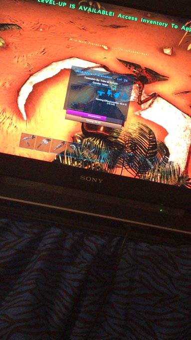 Where my Xbox ark players at? https://t.co/7eIYBm0eaw