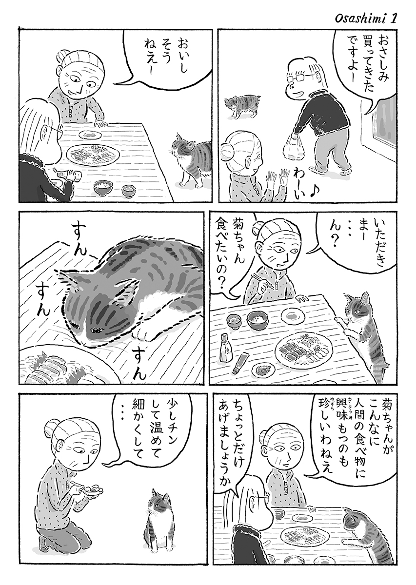 2ページ猫漫画「たまのおさしみ」 #猫の菊ちゃん 