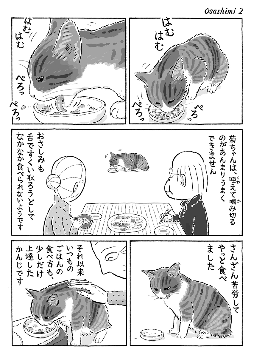 2ページ猫漫画「たまのおさしみ」 #猫の菊ちゃん 