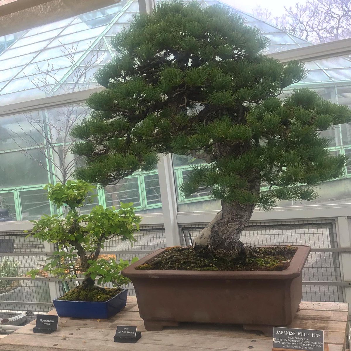 Dave Castro tweet media