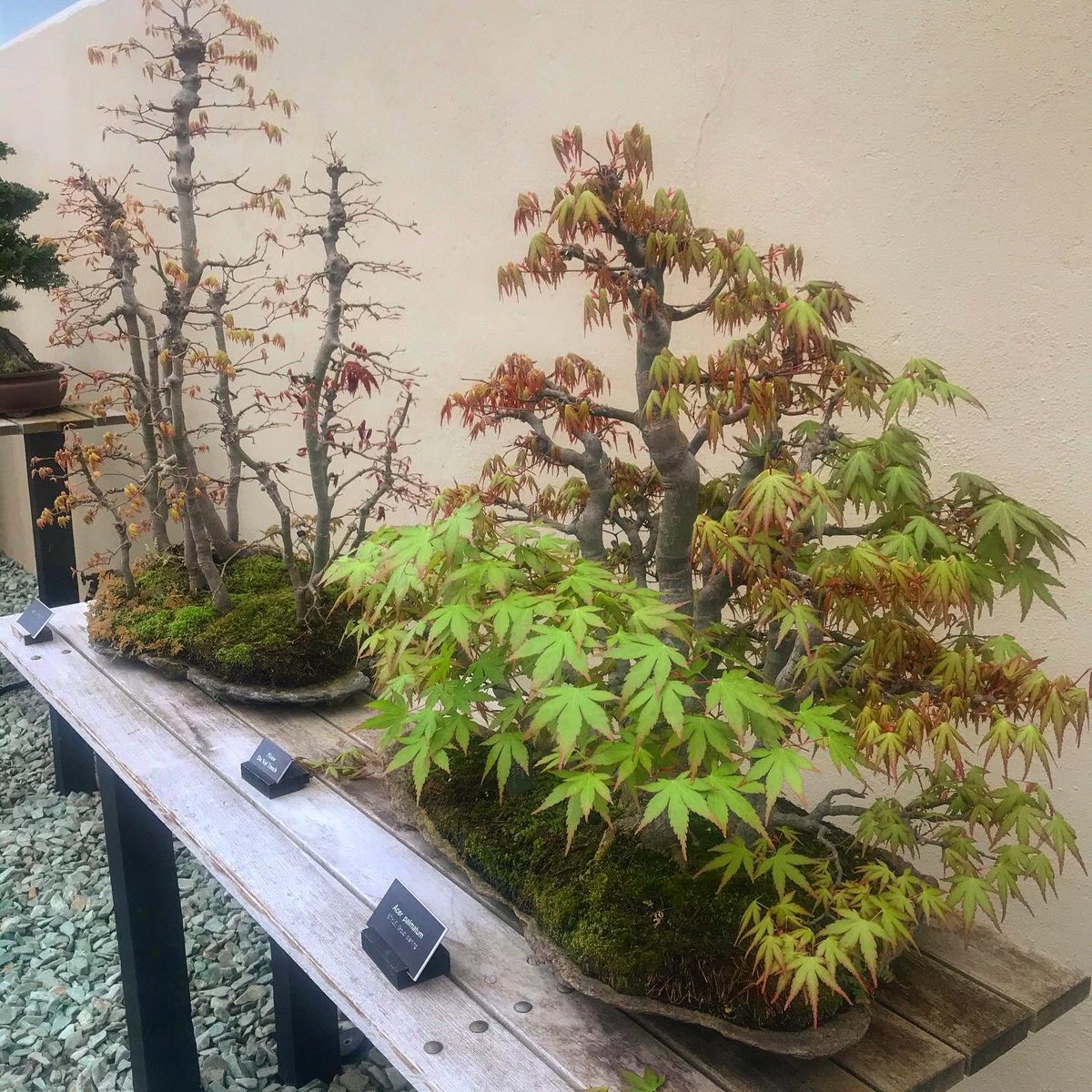 Dave Castro tweet media