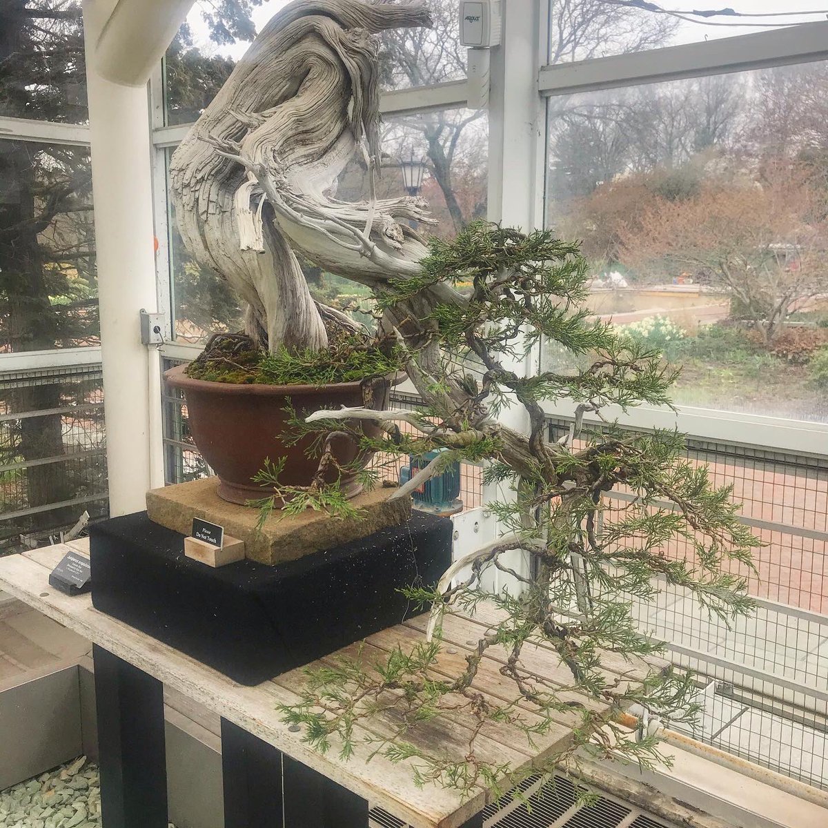 Dave Castro tweet media