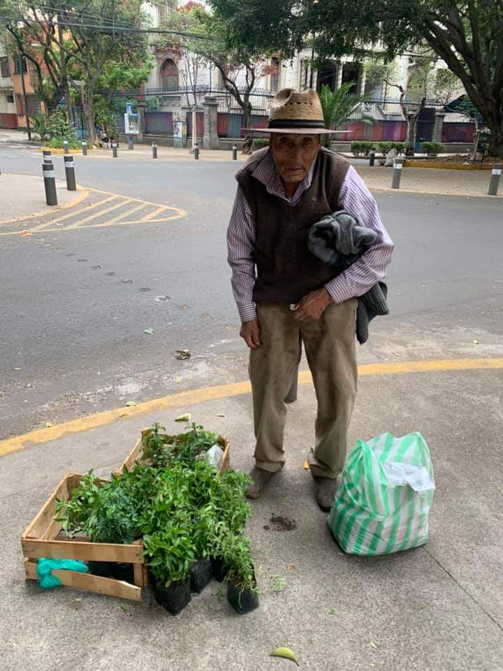 flakuchita08's tweet photo. Quien viva en la Condesa  o pase por ahí, siempre hay un señor que se llama Juan González tiene 80 años y vende  las plantas que cultiva. Albahaca, hierbabuena, lavanda, Romero y menta muy baratos. Ayúdenlo si pasan por ahí. https://t.co/ZN5kxVZ9le