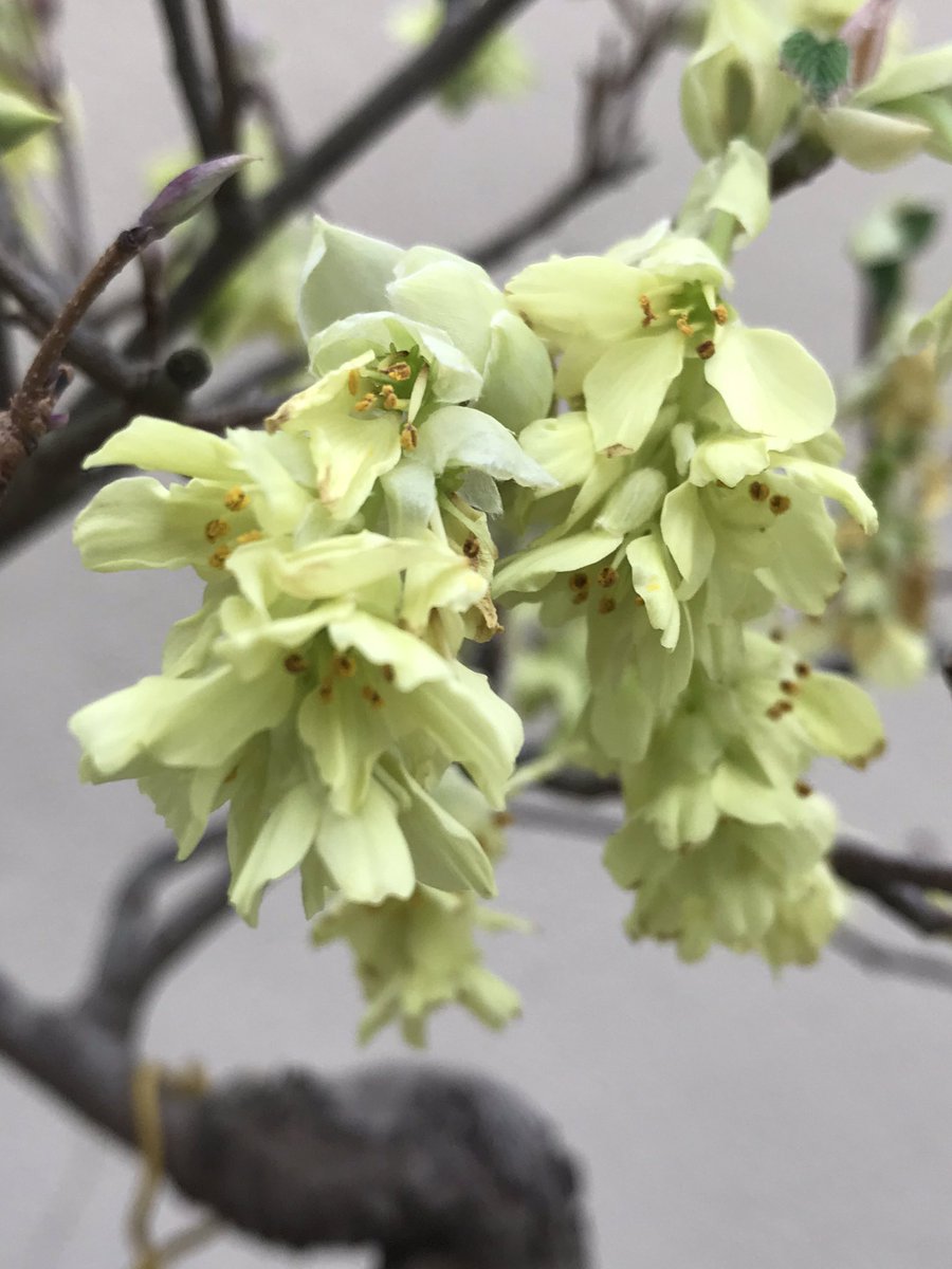 Dave Castro tweet media